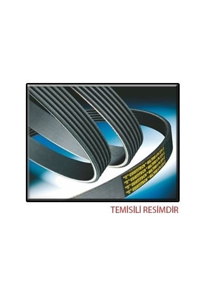 Contıtech 8PK1255 Kanallı Kayış Scania 164C 164G 164L 00- R 04-