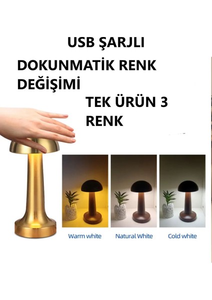 Gold Masa Üstü Lamba Ledli Masa Lambası Şarjlı Mantar Gece Lambası LED Abajur Rose Renk Dokunmatik fırsatları