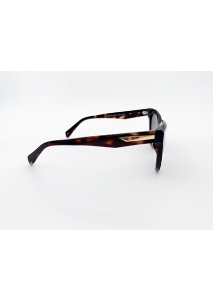 3655 2 55 Kadın Güneş Gözlüğü modelleri