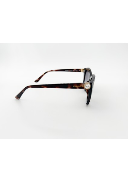 3668 2 53 Kadın Güneş Gözlüğü modelleri