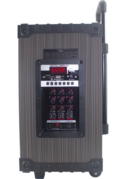 Zore LT-908 Dijital LED Göstergeli Fm Radyolu Mikrofonlu Tws 8 Inç Stereo Bass Kablosuz Karaoke Hopa fırsatları