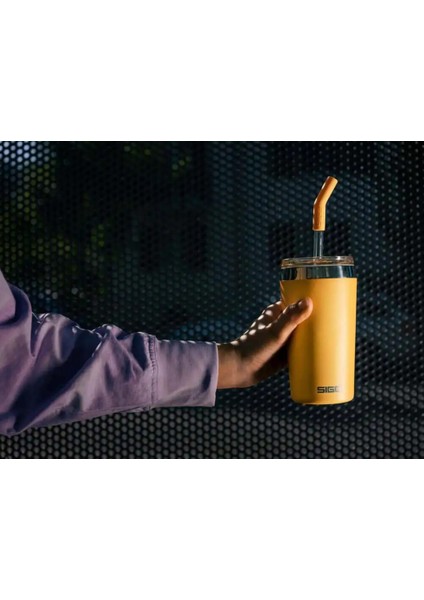 Helia Muted Beach 0,45LT Çelik Termos Somon Switzerland 1 Adet indirimleri