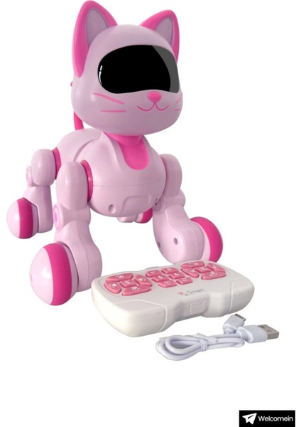 Oyuncak 30 Fonksiyonlu Uzaktan Kumandalı Şarjlı Sesli Işıklı Dokunma Algılama&programlama Robot Kedi