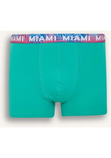 Yeni Sezon Regular Fit 3'lü Boxer