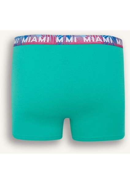 Yeni Sezon Regular Fit 3'lü Boxer