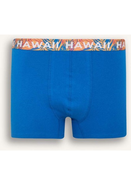 Yeni Sezon Regular Fit 3'lü Boxer