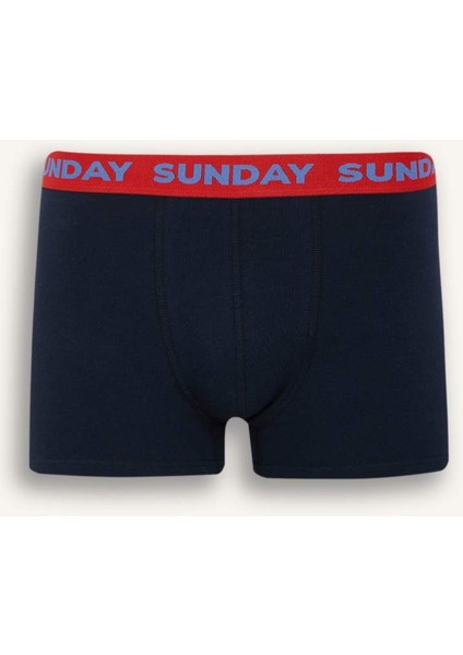 Yeni Sezon Regular Fit 3'lü Boxer
