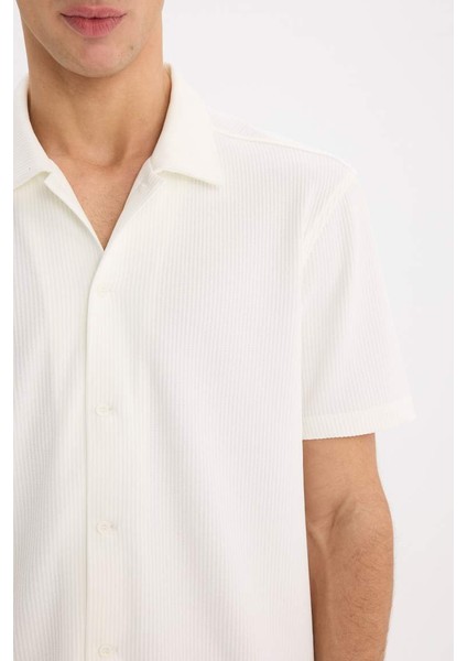 Yeni Sezon Regular Fit Polo Yaka Yazlık Kısa Kollu Gömlek indirimleri