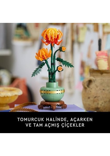 Icons Krizantem 10368 - Yetişkinler Için Dekoratif Kasımpatı Çiçeği Yapım Seti (278 Parça)