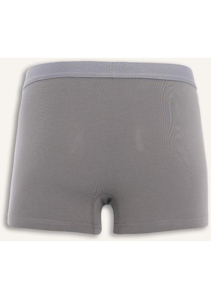 Yeni Sezon Regular Fit 3'lü Boxer