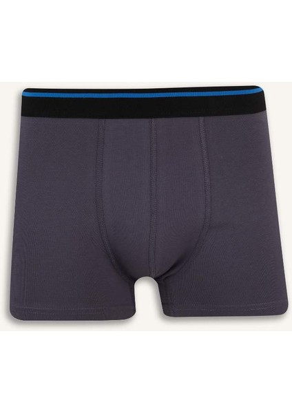 Yeni Sezon Regular Fit 3'lü Boxer