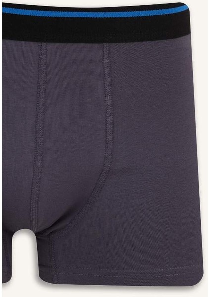 Yeni Sezon Regular Fit 3'lü Boxer
