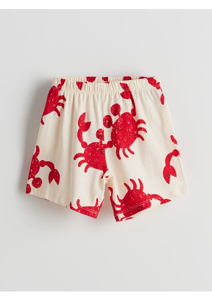 Yeni Sezon Baskili Erkek Cocuk Sortlu Pijama Takimi - S5EA91Z1
