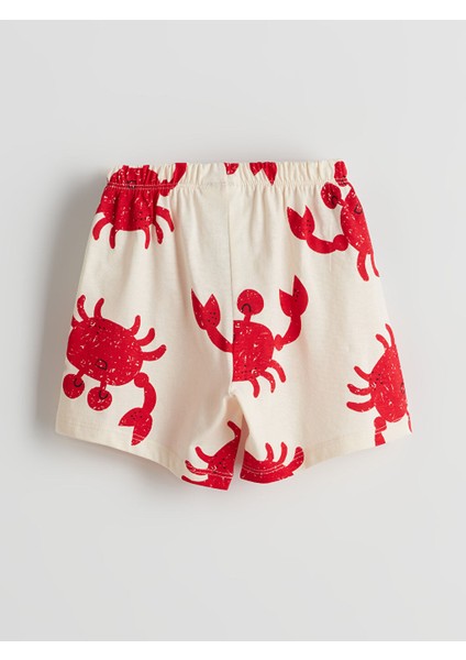 Yeni Sezon Baskili Erkek Cocuk Sortlu Pijama Takimi - S5EA91Z1