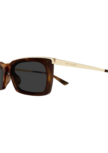 Saint Laurent 766 004