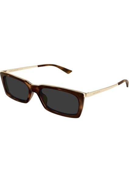 Saint Laurent 766 004