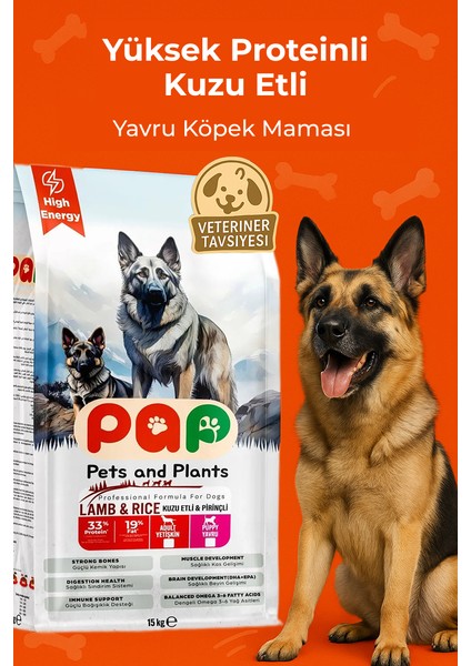 Yüksek Proteinli Kuzu Etli 15 kg Yavru Köpek Maması