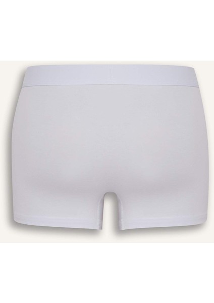 Regular Fit 3'lü Boxer C3274AX25SM