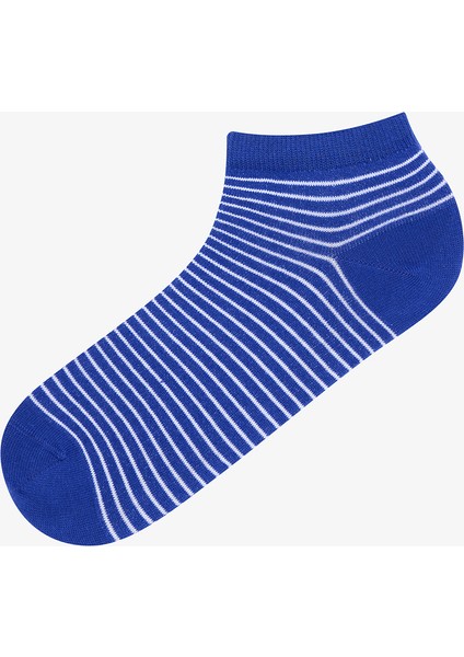 Erkek Stripe 5li Çok Renkli Patik Çorap