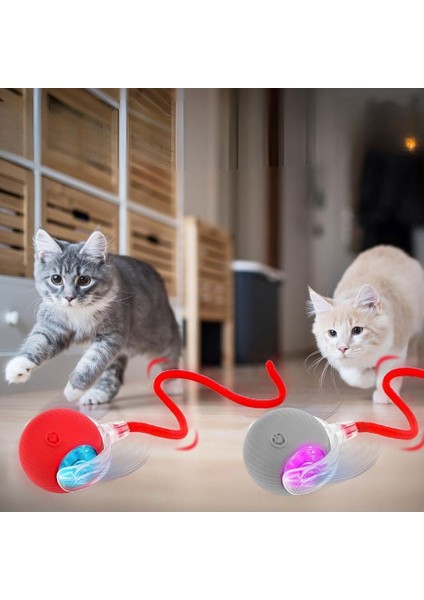 Yeni Nesil Akıllı Hareketli Şarjlı Kedi Köpek Oyuncağı | Interaktif Eğlence Topu indirimleri