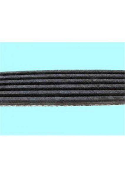 Kanalli Kayiş Peugeot 206 Partner Berl 1.9d 8V 02-06 Fiat Scudo 1.9d 98-06 Audi Ford Skoda Volvo Dpmah