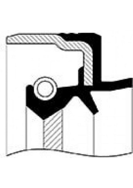 Keçe Diferansiyel Sol Çikiş Fiat Doblo Fiorino Albea Linea Palio Tempra Stilo (29,8X50X10) Kutu (10) Dpmah