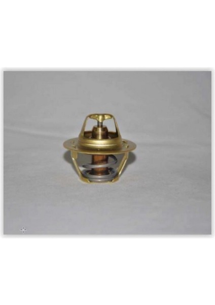 Termostat 89C Megane I-II-R19-CLIO Ii-1.4-1.6 16V-KANGOO-LAGUNA I-Ii 1.9dci C2 Dacia Dpmah