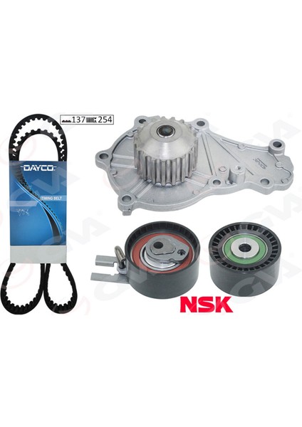 Devirdaimli Eksantrik Gergi Kiti 137X254 P207-307-308-PART-C3-C4-C5-BERL- Fiesta-Focus 1.6hdi-Tdi Dpmah