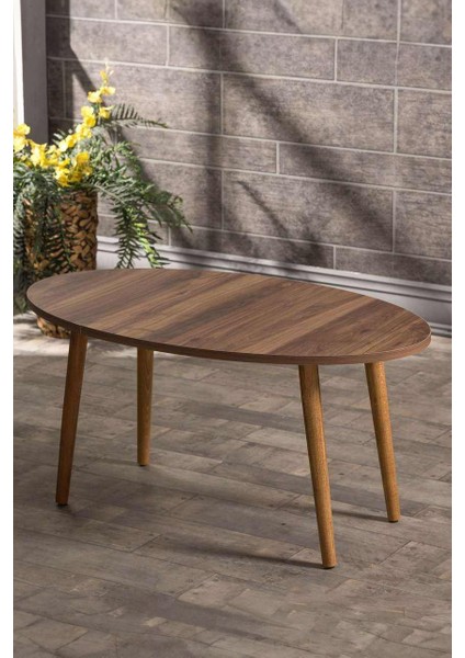 Ahşap Torna Elips Orta Sehpa fırsatları