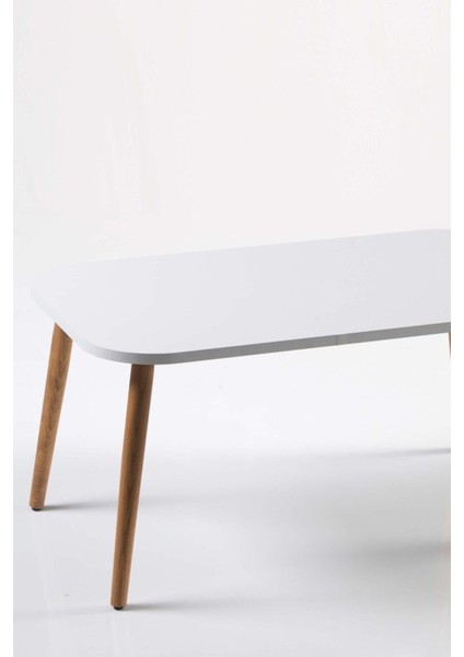 Orta Sehpa Kr Ahşap Torna Ayak Beyaz fiyatları