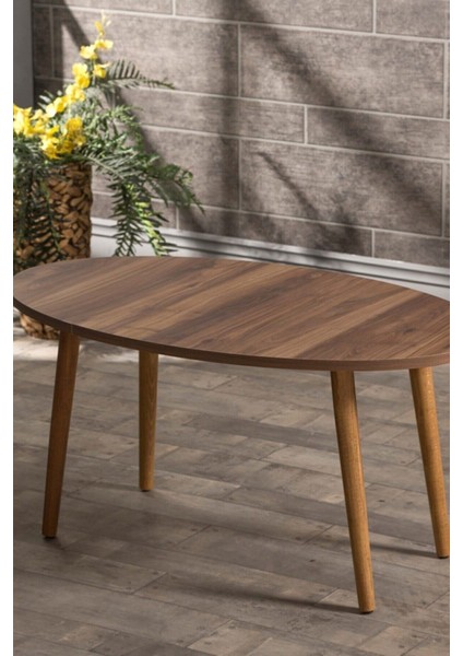 Orta Sehpa Ahşap Torna Ayak Elips Ceviz