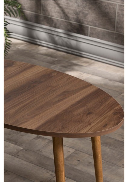 Orta Sehpa Ahşap Torna Ayak Elips Ceviz fiyatları