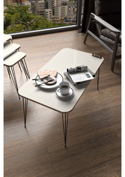 Orta Sehpa Kr Siyah Tel Ayak Gümüş Krem