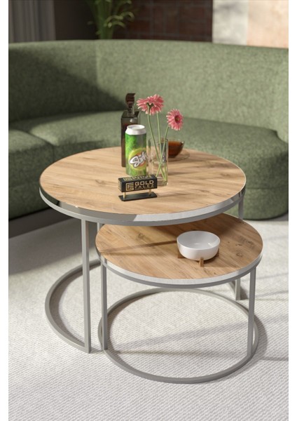 Orta Sehpa Ikili Lüx Specıal Gümüş Ceviz modelleri