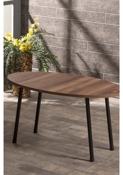 Orta Sehpa Metal Ayak Elips Ceviz