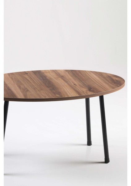 Orta Sehpa Metal Ayak Elips Ceviz fiyatları