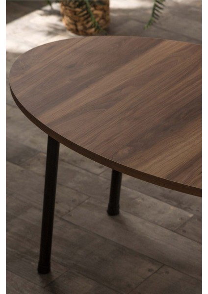 Orta Sehpa Metal Ayak Elips Ceviz modelleri