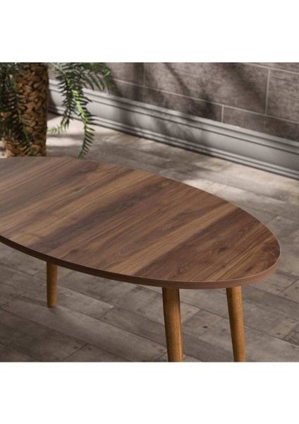 Orta Sehpa Ahşap Torna Ayak Elips Ceviz fiyatları