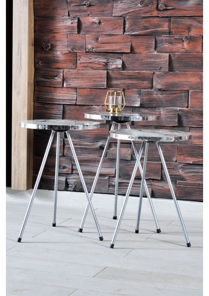 Orta Sehpa Gümüş Elips Siyah Metal Ayak modelleri