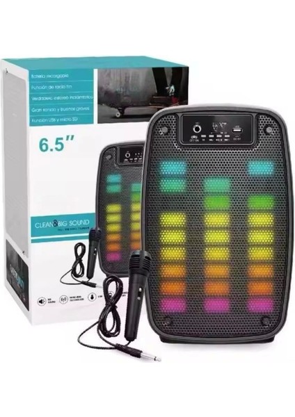 Taşınabilir 6.5 Inç LED Bluetooth Kareoke Hoparlör Rgb Işıklı Radyolu