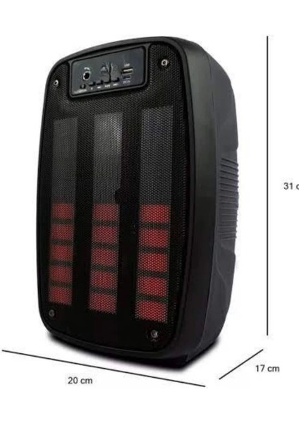Taşınabilir 6.5 Inç LED Bluetooth Kareoke Hoparlör Rgb Işıklı Radyolu