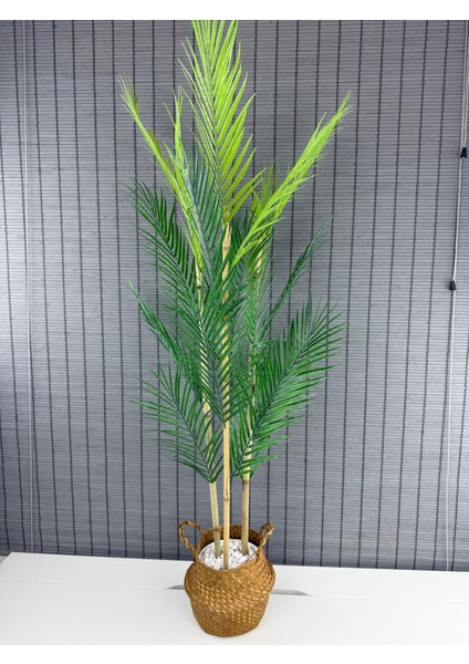 Dekoratif Yapay Yapraklı Hasır Bambu Sepetli Areka Palmiye Ağacı 3 Gövde 120CM fiyatları