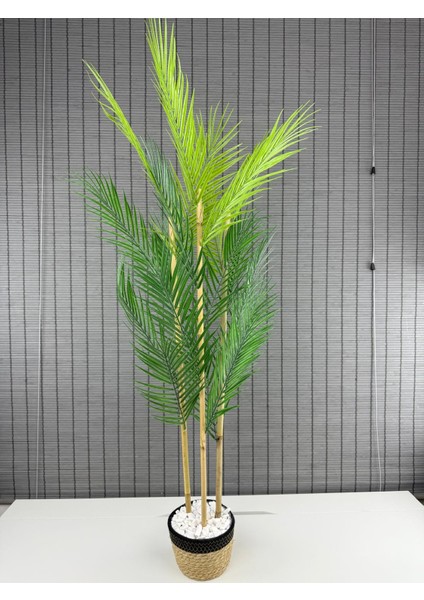 Dekoratif Yapay Yapraklı Hasır Sea Grass/ Koton Saksılı Areka Palmiye Ağacı 3 Gövde 120CM