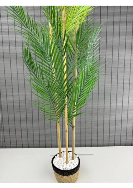 Dekoratif Yapay Yapraklı Hasır Sea Grass/ Koton Saksılı Areka Palmiye Ağacı 3 Gövde 120CM modelleri