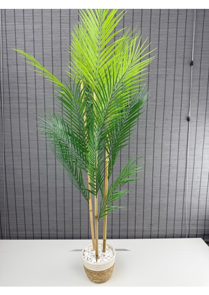 Dekoratif Yapay Yapraklı Hasır Sea Grass/ Koton Saksılı Areka Palmiye Ağacı 3 Gövde 120CM