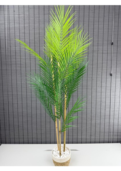 Dekoratif Yapay Yapraklı Hasır Sea Grass/ Koton Saksılı Areka Palmiye Ağacı 3 Gövde 120CM