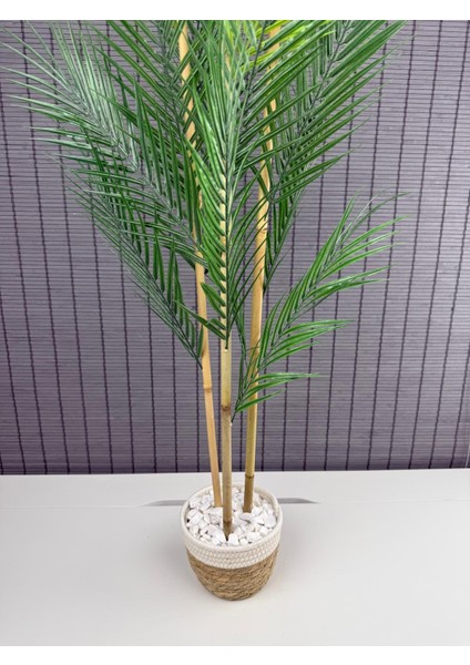 Dekoratif Yapay Yapraklı Hasır Sea Grass/ Koton Saksılı Areka Palmiye Ağacı 3 Gövde 120CM