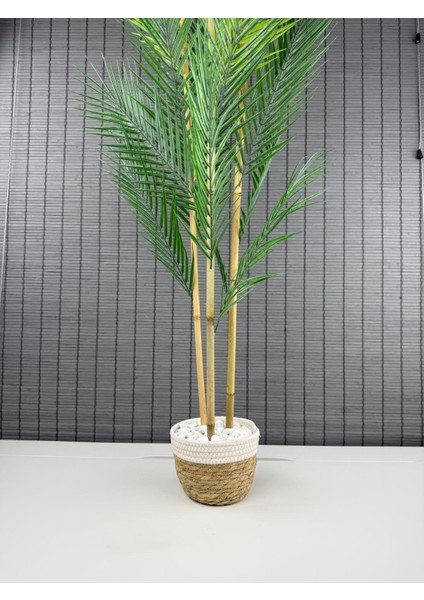 Dekoratif Yapay Yapraklı Hasır Sea Grass/ Koton Saksılı Areka Palmiye Ağacı 3 Gövde 120CM
