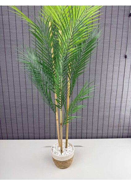 Dekoratif Yapay Yapraklı Hasır Sea Grass/ Koton Saksılı Areka Palmiye Ağacı 3 Gövde 120CM