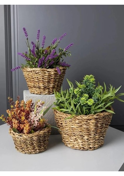 Dekoratif Natural Renk Yuvarlak Seagrass Hasır Sepet 3'lü fırsatları